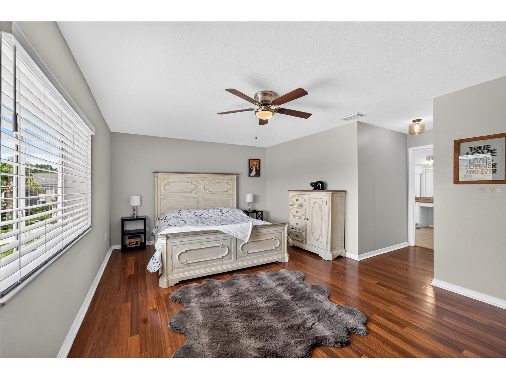 26943 Coral Springs Drive Wesley Chapel FL 33544 TB8519318 image23