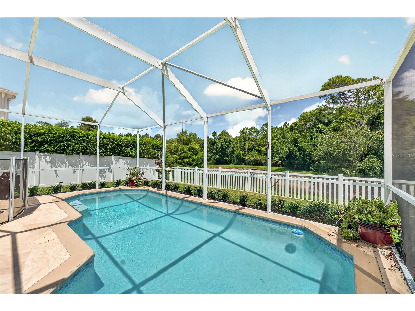 26943 Coral Springs Drive Wesley Chapel FL 33544 TB8519318 image5