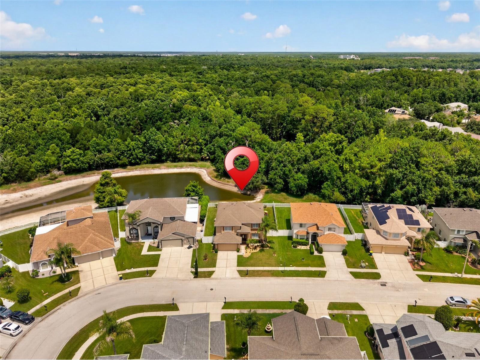 26943 Coral Springs Drive Wesley Chapel FL 33544 TB8519318 image54