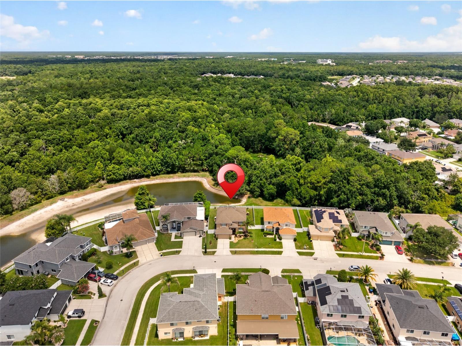 26943 Coral Springs Drive Wesley Chapel FL 33544 TB8519318 image57