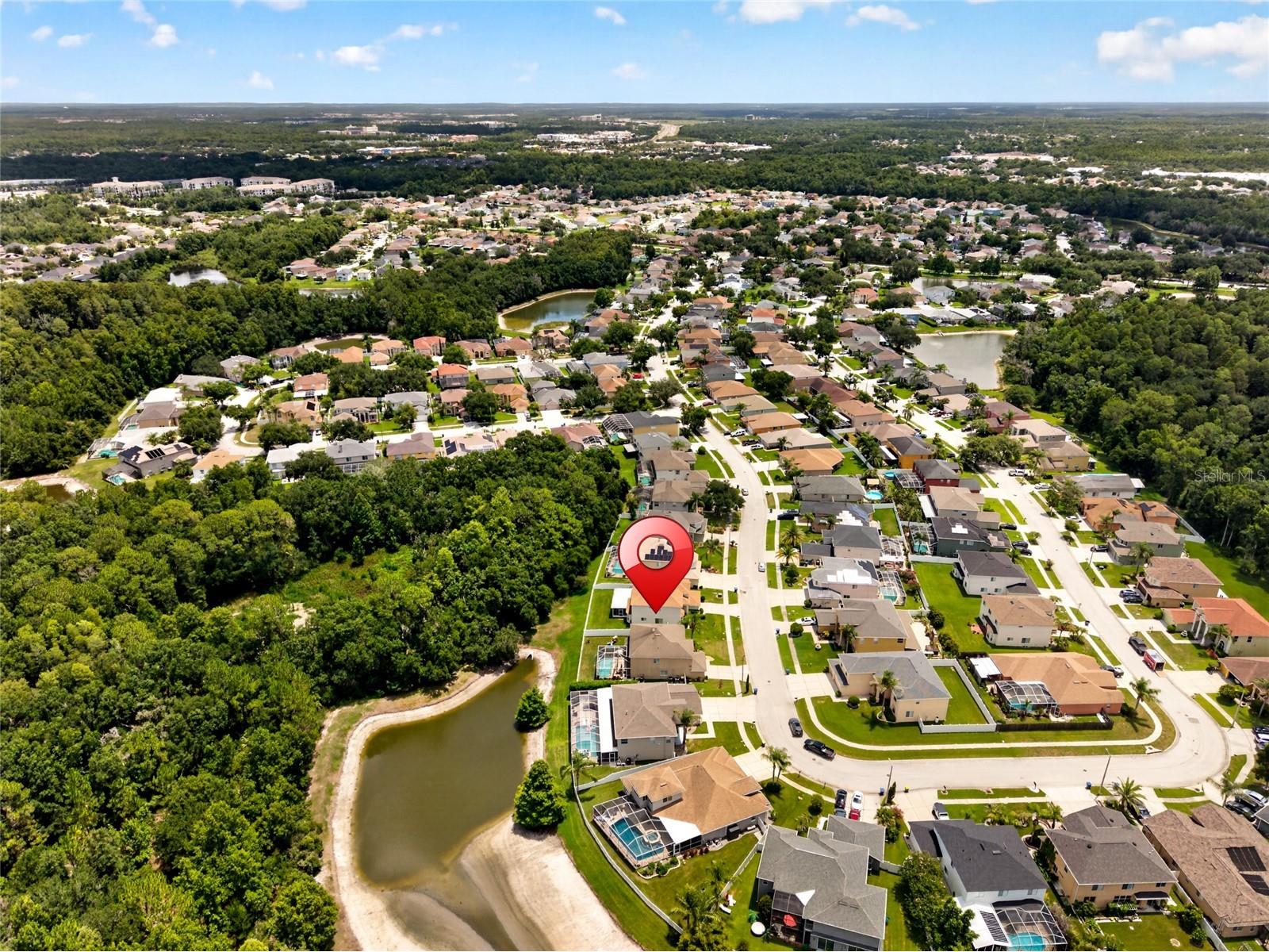 26943 Coral Springs Drive Wesley Chapel FL 33544 TB8519318 image59