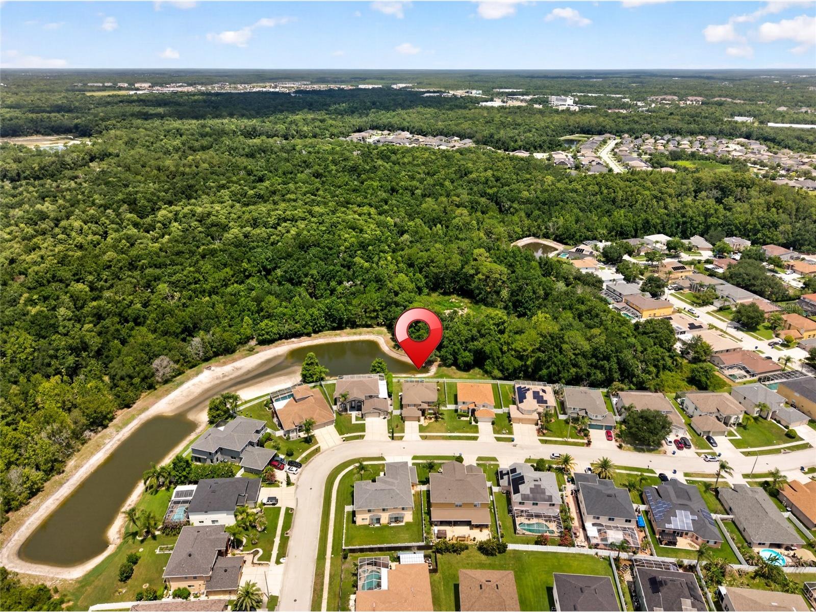 26943 Coral Springs Drive Wesley Chapel FL 33544 TB8519318 image60