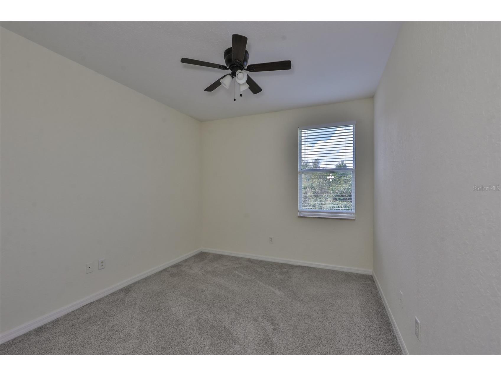 26948 Juniper Bay Drive Wesley Chapel FL 33544 TB8514949 image20