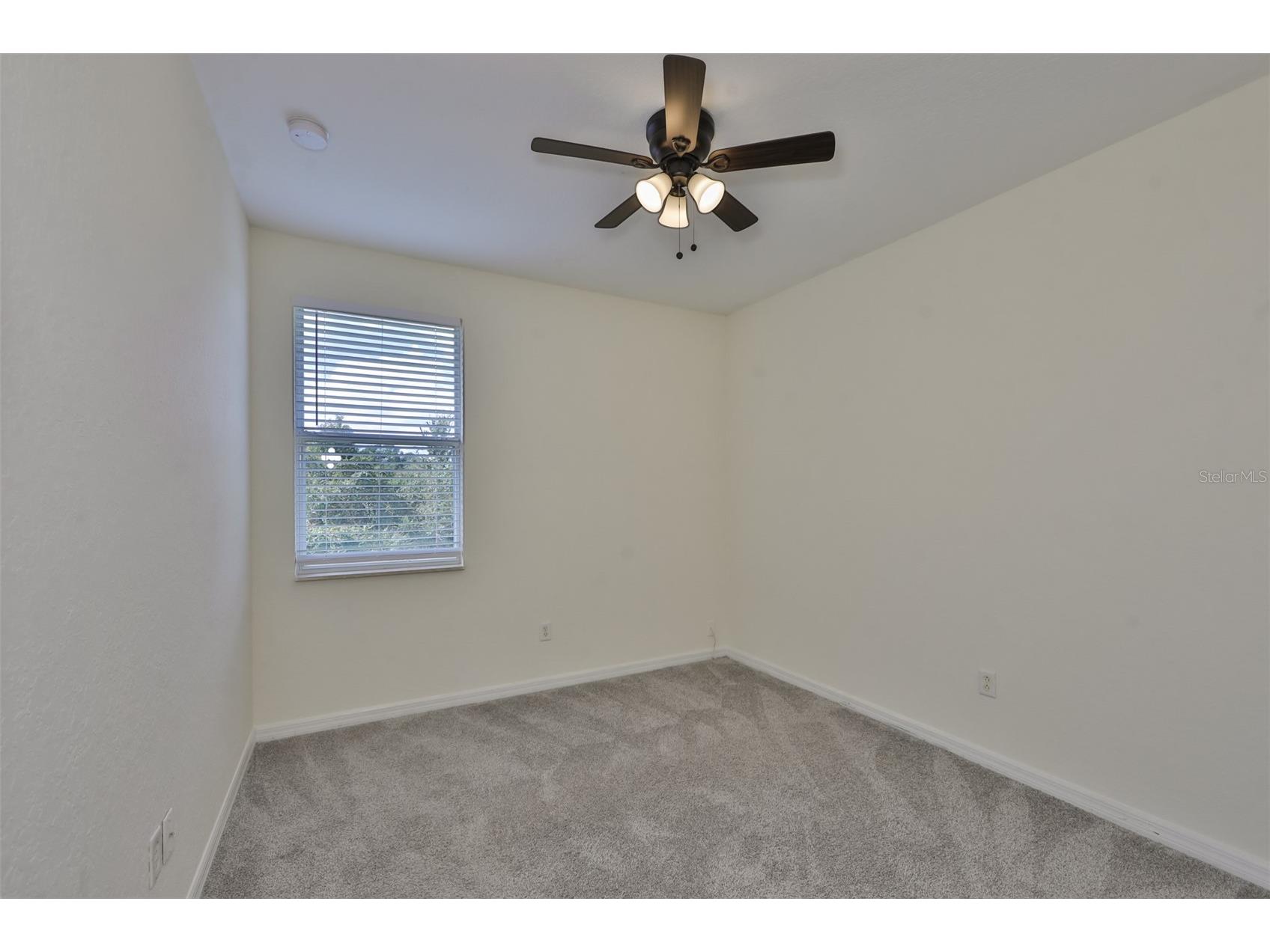 26948 Juniper Bay Drive Wesley Chapel FL 33544 TB8514949 image24