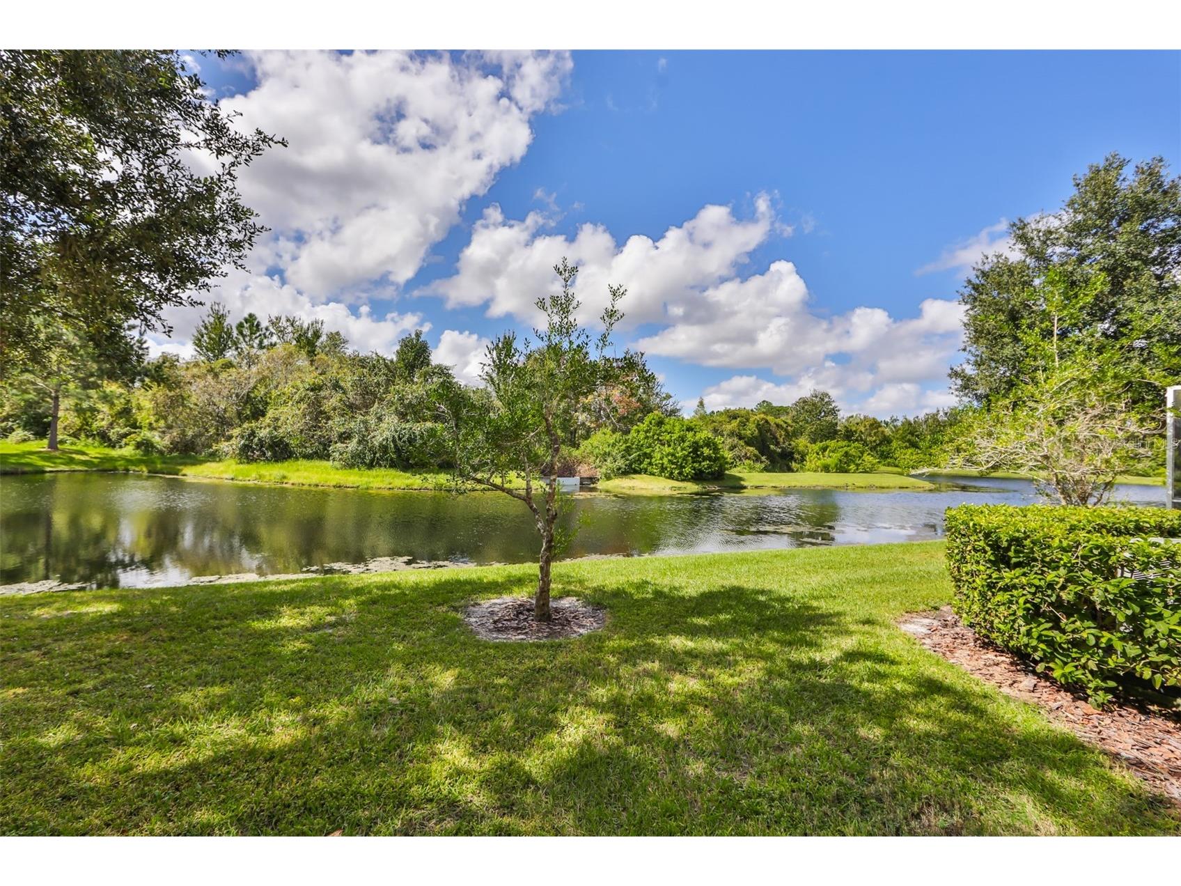 26948 Juniper Bay Drive Wesley Chapel FL 33544 TB8514949 image28