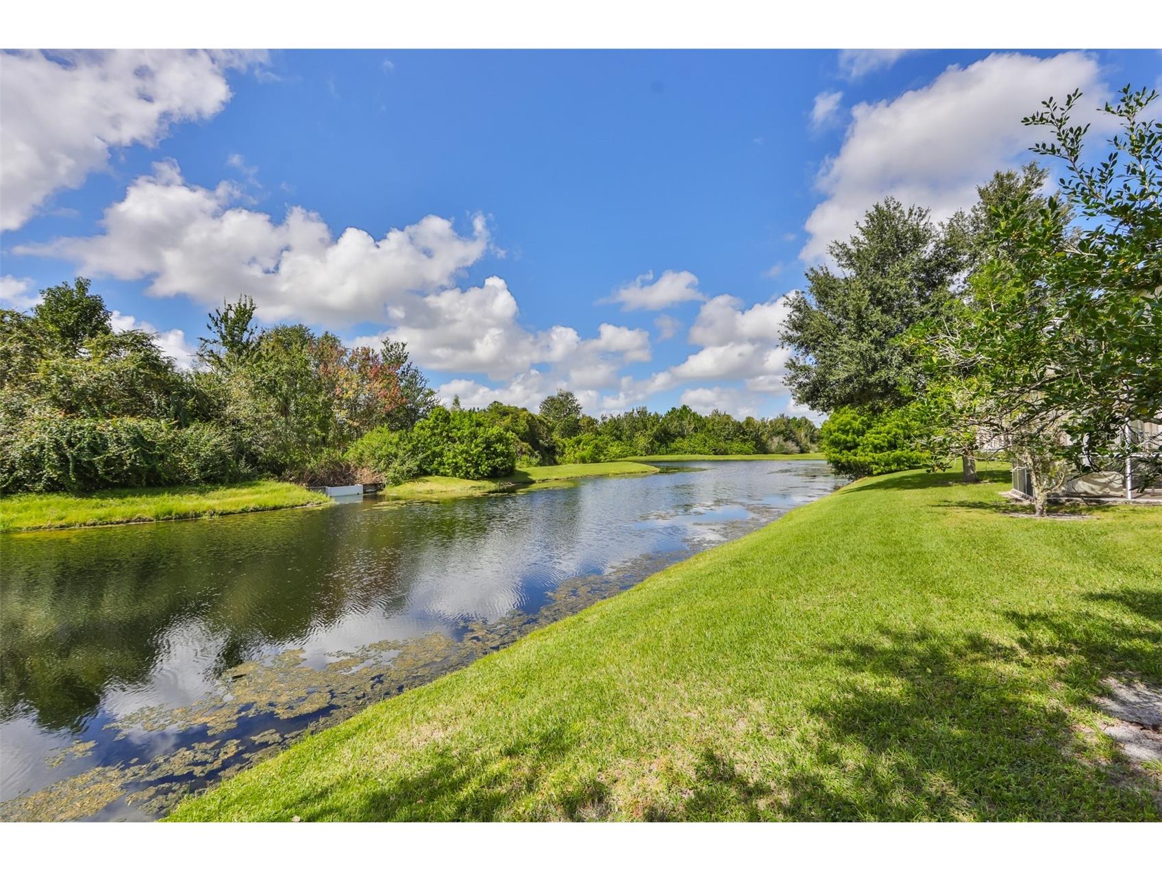 26948 Juniper Bay Drive Wesley Chapel FL 33544 TB8514949 image29