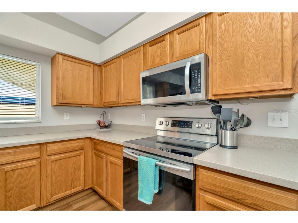 26953 Coral Springs Drive Wesley Chapel FL 33544 TB8421801 image15