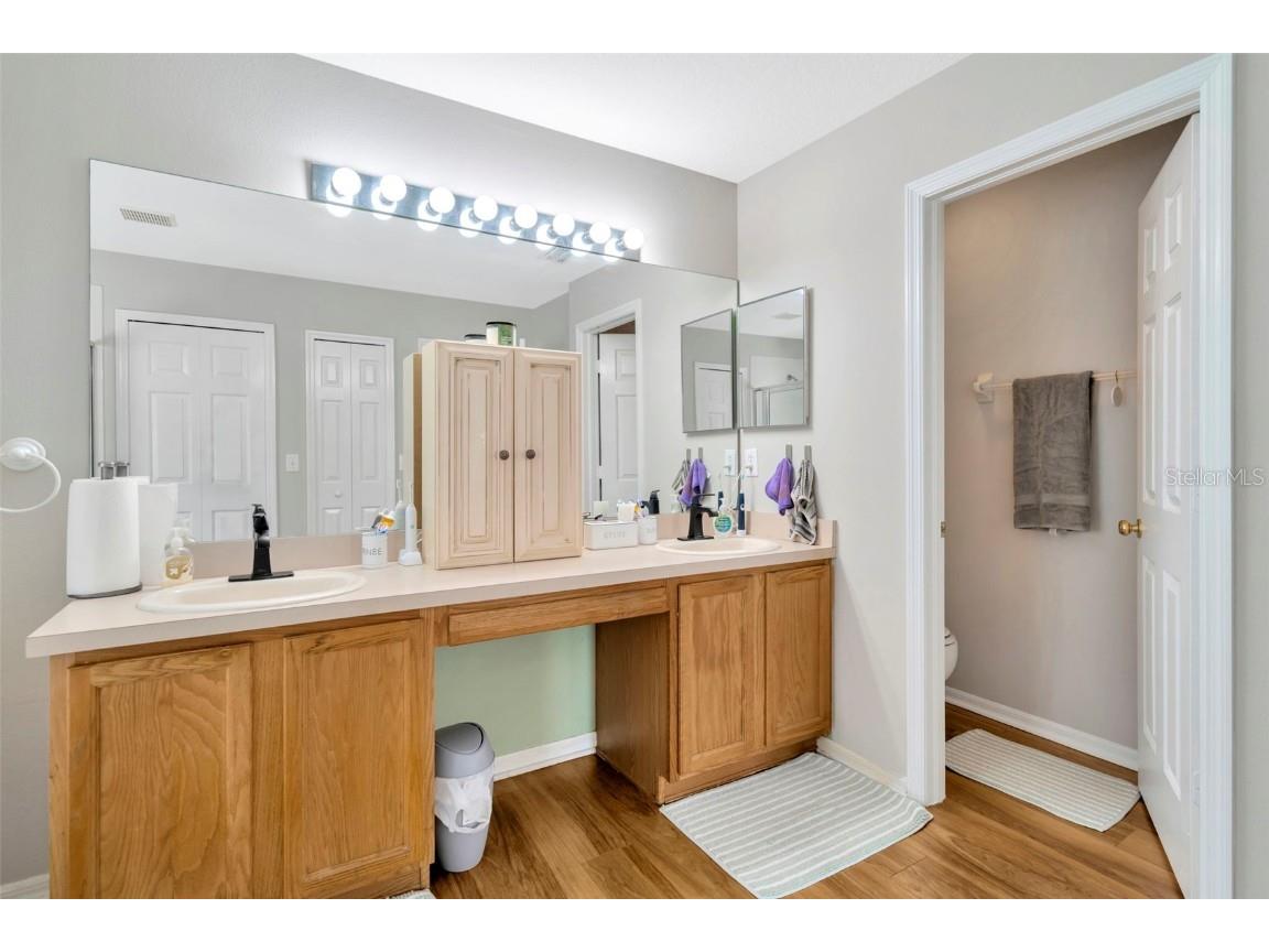 26953 Coral Springs Drive Wesley Chapel FL 33544 TB8421801 image30