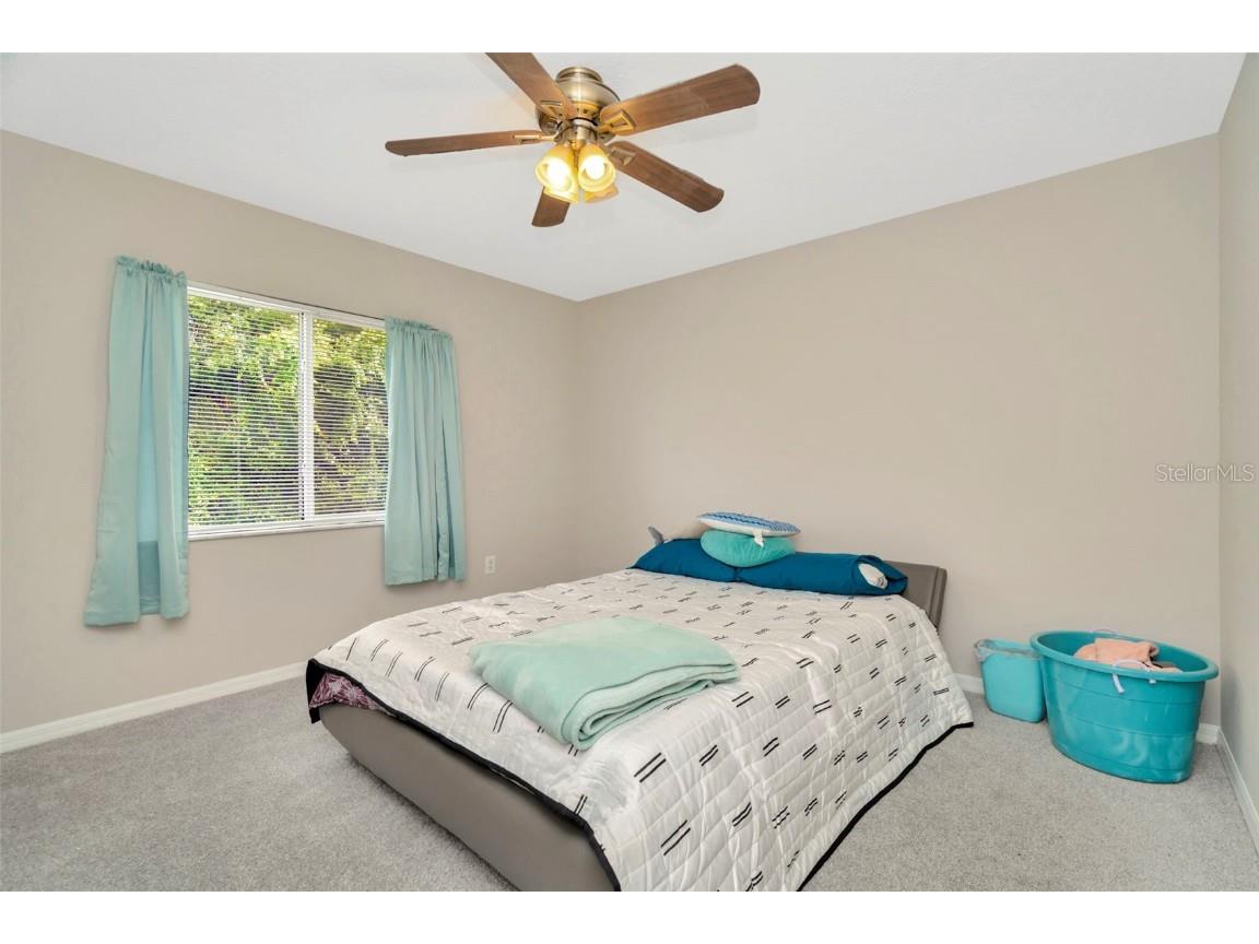 26953 Coral Springs Drive Wesley Chapel FL 33544 TB8421801 image44