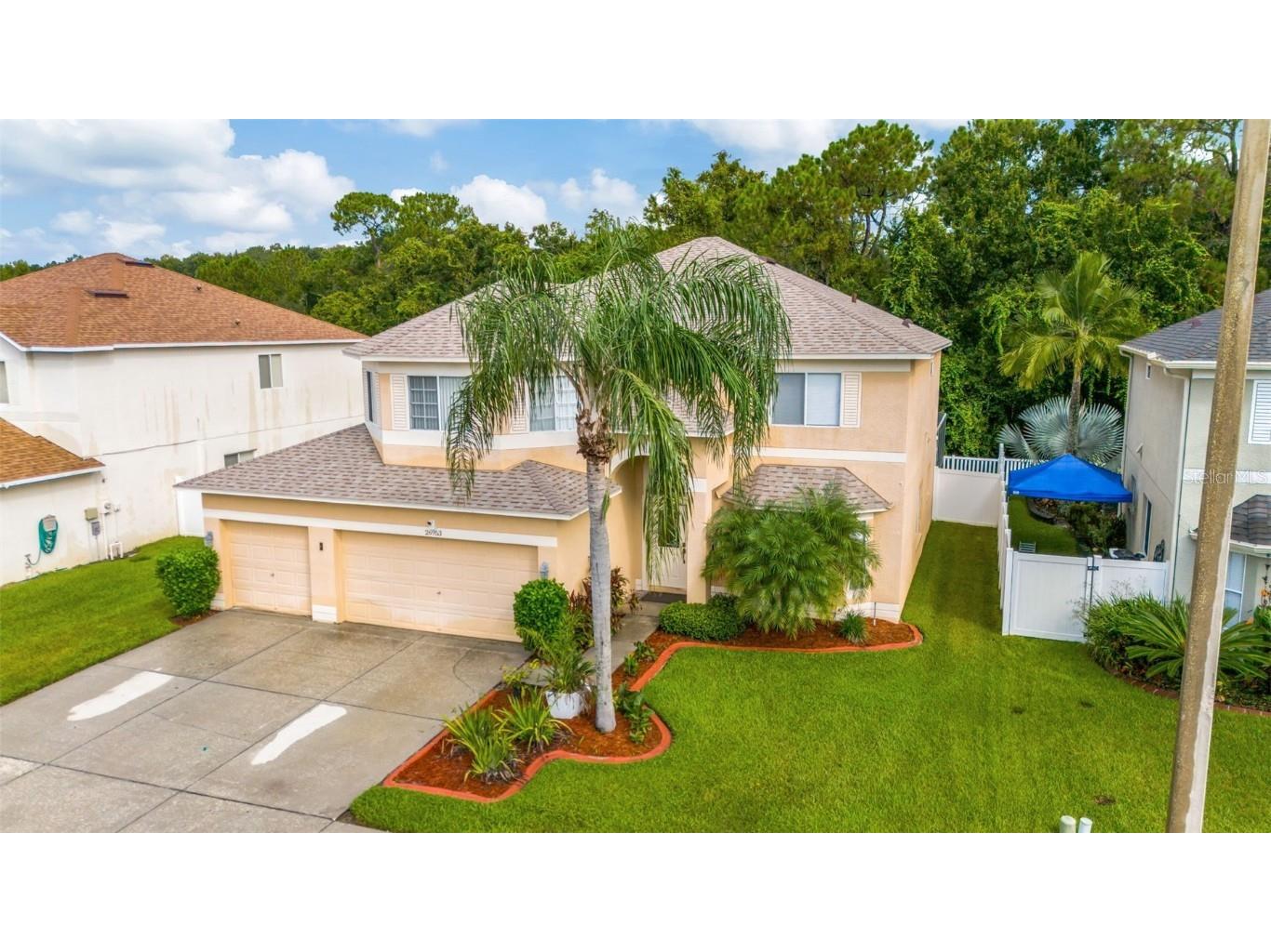 26953 Coral Springs Drive Wesley Chapel FL 33544 TB8421801 image9