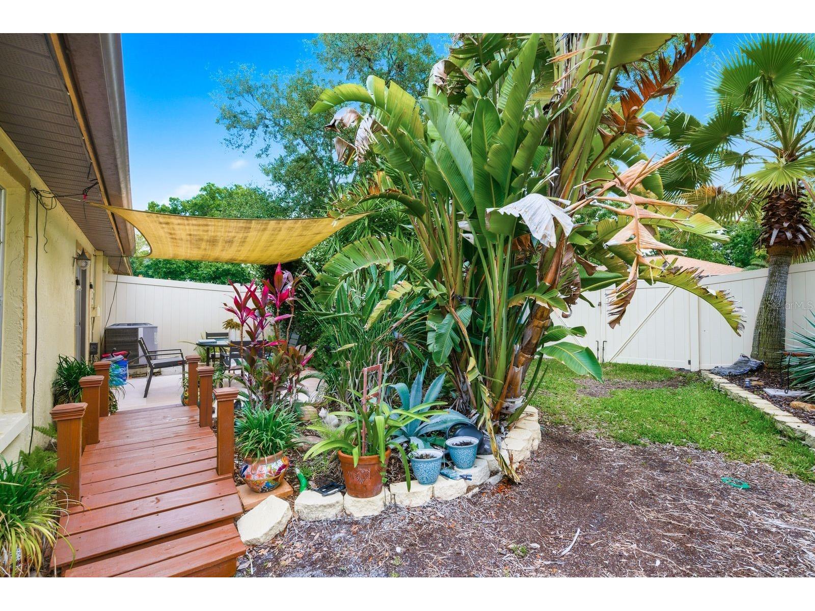 2696 Rae Court Palm Harbor FL 34684 TB8509265 image17