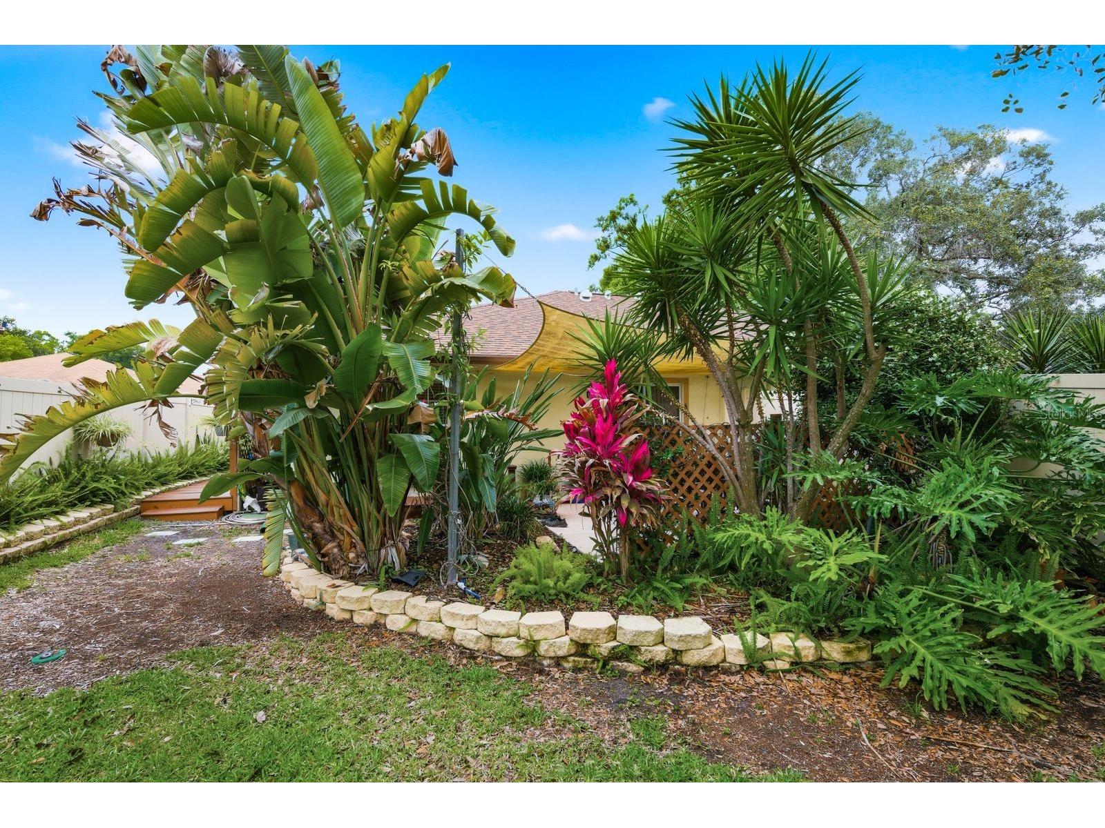 2696 Rae Court Palm Harbor FL 34684 TB8509265 image21