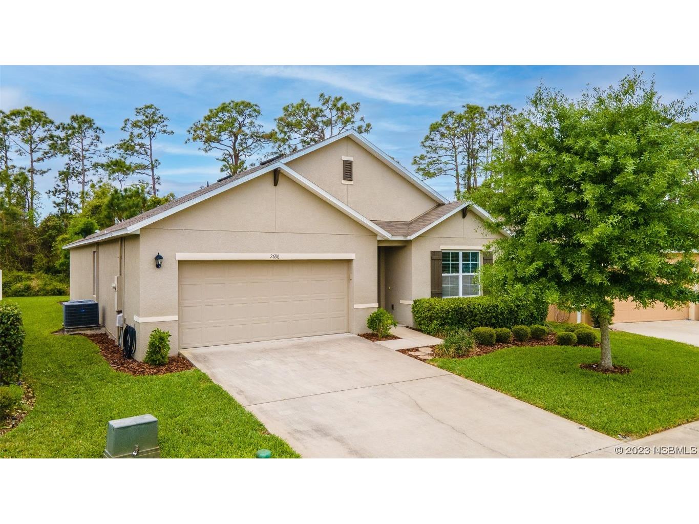 2696 Star Coral Lane New Smyrna Beach FL 32168 NS1074031 image1