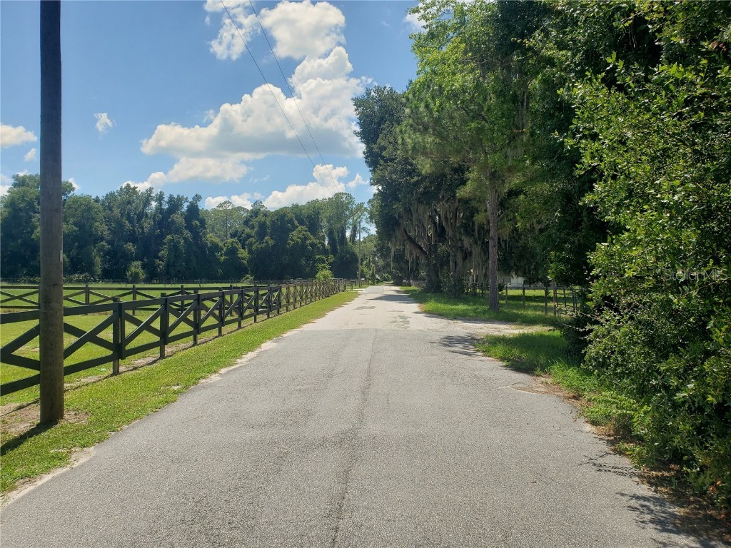 2697 Cr 774 Webster FL 33597 G5104219 image4