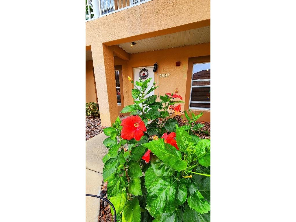 2697 Emerald Lake Court Kissimmee FL 34744 V4932037 image1