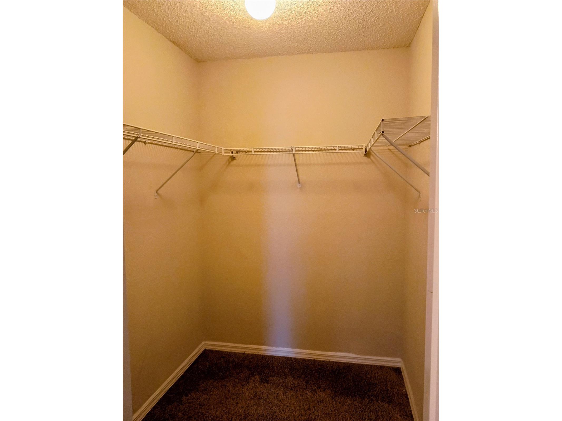 2697 Hickory Ridge Drive Lakeland FL 33813 L4962735 image10