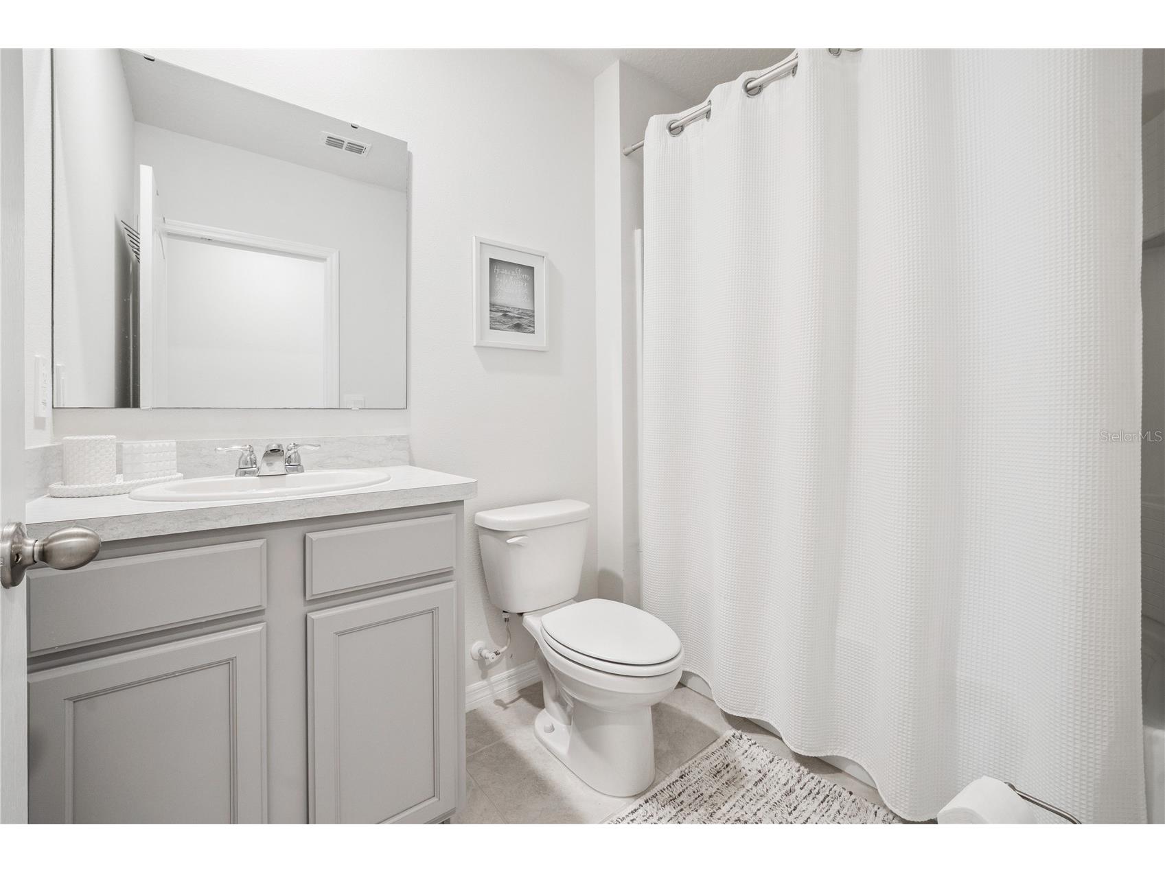 2698 Rowan Street Tavares FL 32778 O6415965 image16
