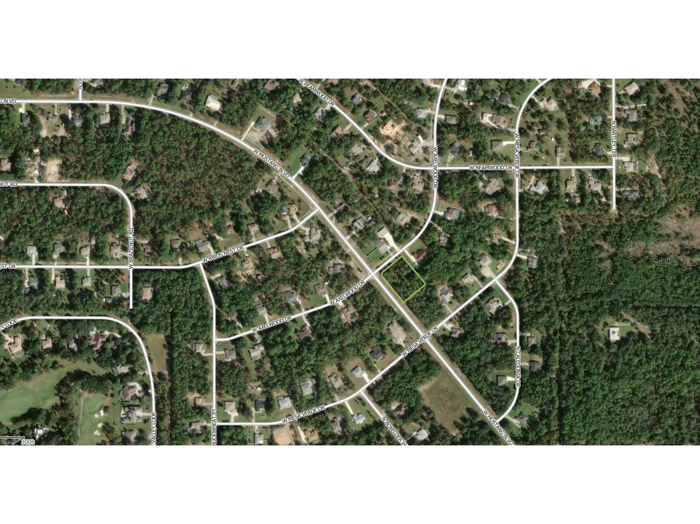 2698 W Axelwood Drive Beverly Hills FL 34465 A4697973 image2