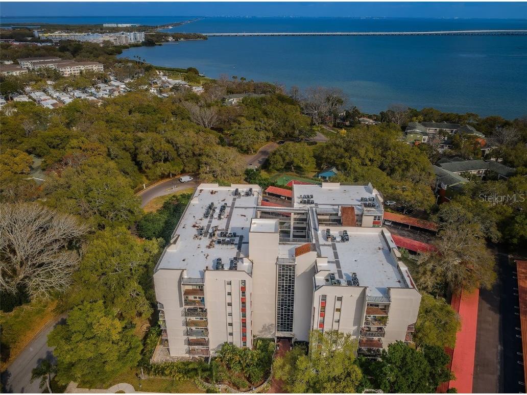 2699 Seville Boulevard #105 Clearwater FL 33764 TB8430931 image29