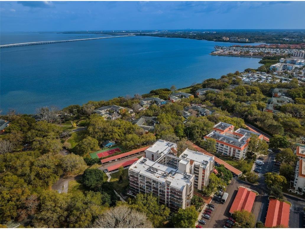 2699 Seville Boulevard #105 Clearwater FL 33764 TB8430931 image3