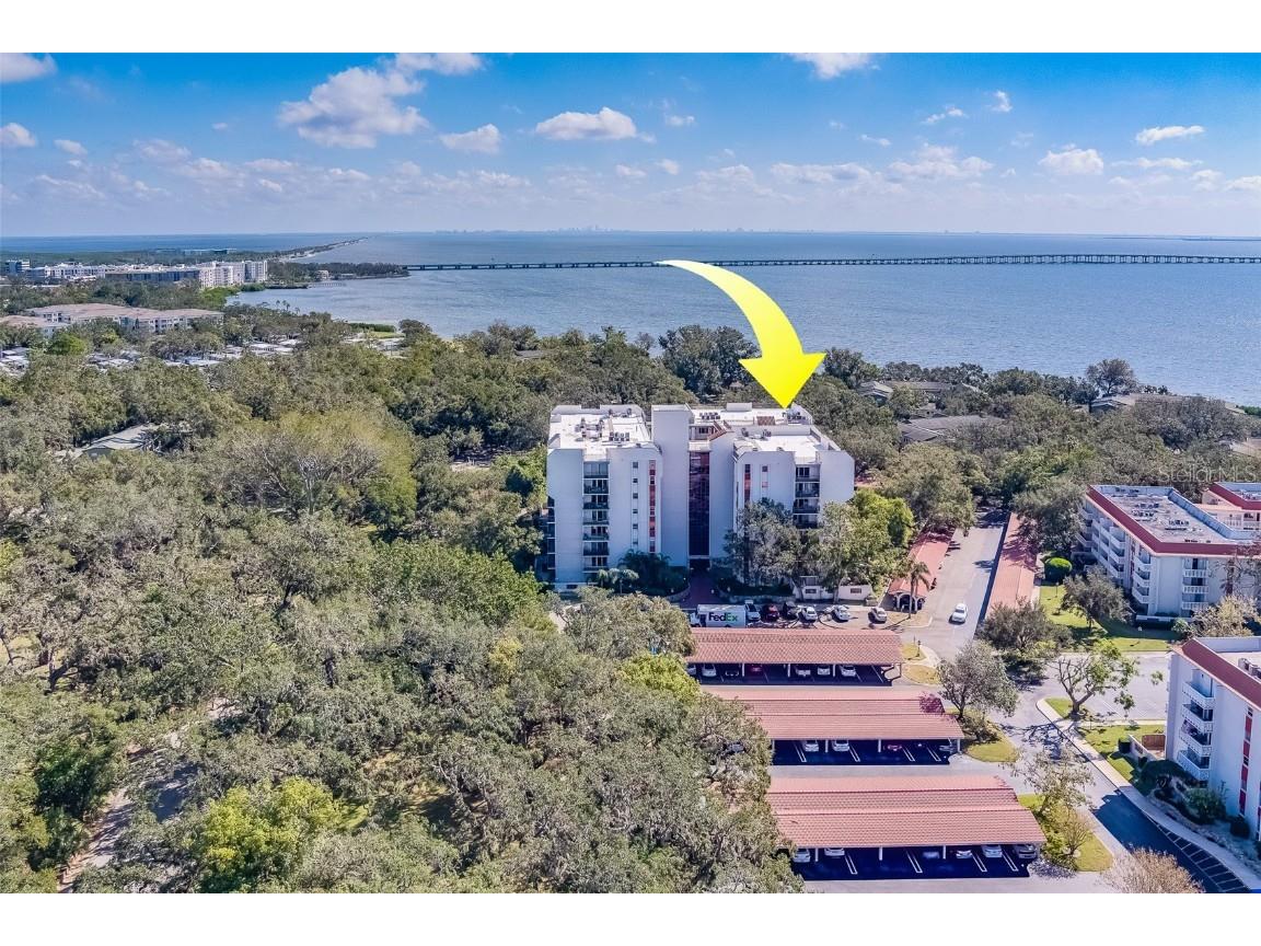 2699 Seville Boulevard #303 Clearwater FL 33764 TB8314872 image1