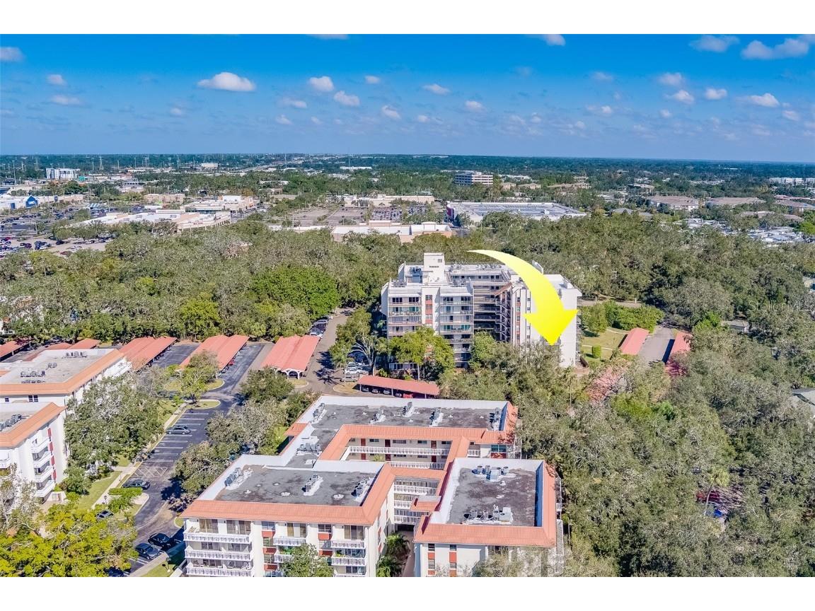 2699 Seville Boulevard #303 Clearwater FL 33764 TB8314872 image48