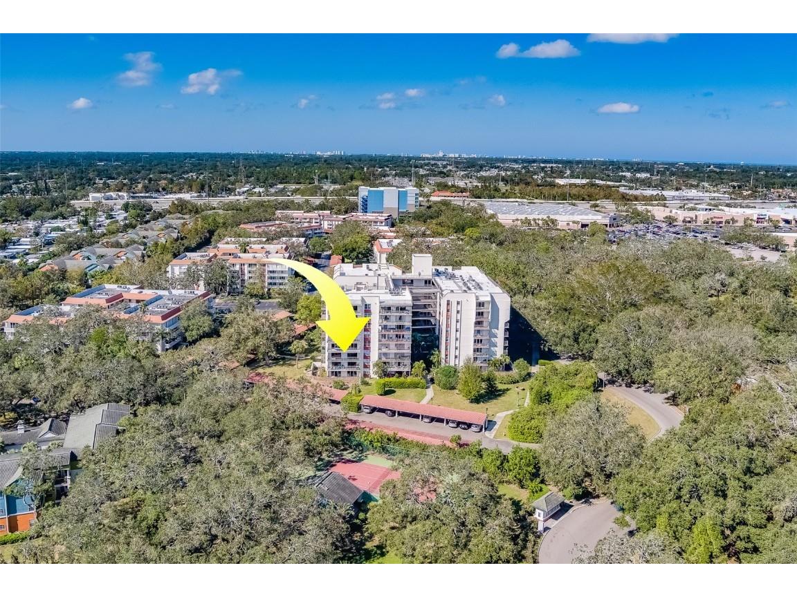 2699 Seville Boulevard #303 Clearwater FL 33764 TB8314872 image50