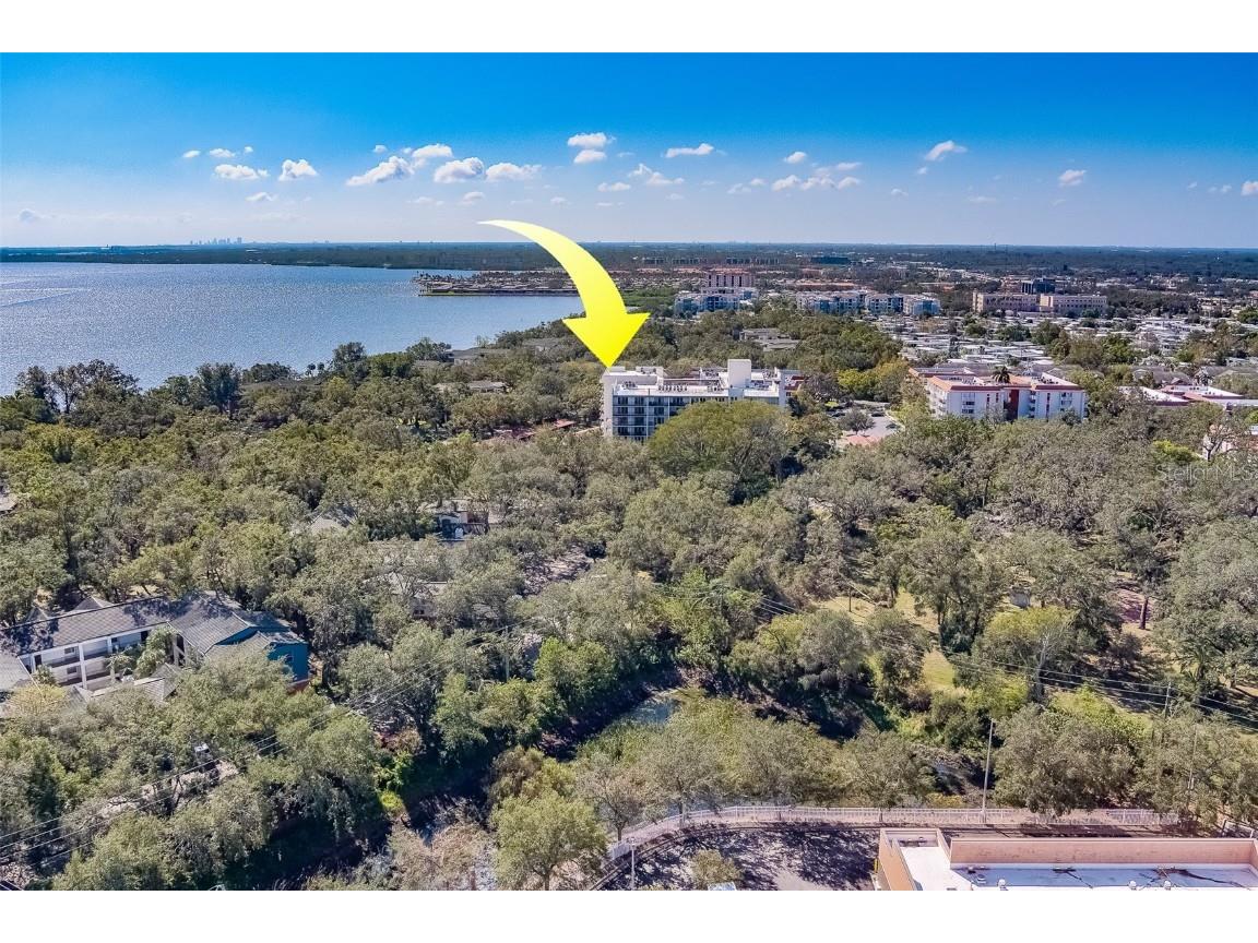 2699 Seville Boulevard #303 Clearwater FL 33764 TB8314872 image51