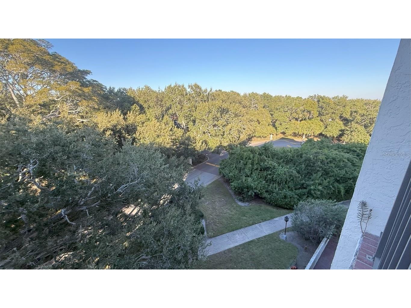 2699 Seville Boulevard #607 Clearwater FL 33764 TB8445286 image10