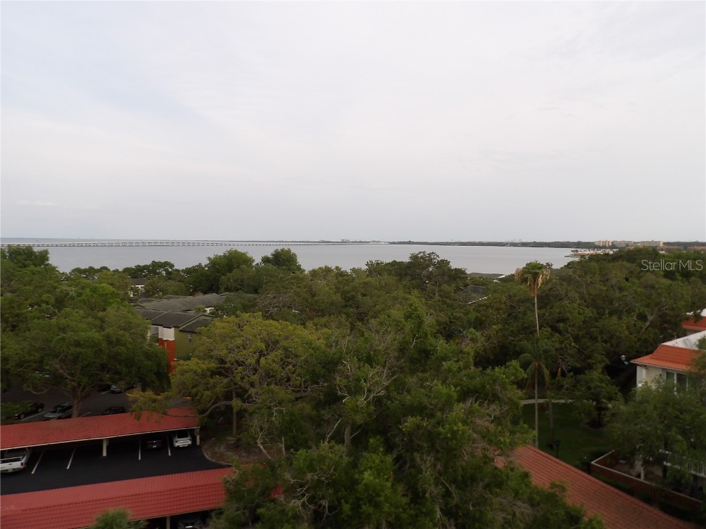 2699 Seville Boulevard #802 Clearwater FL 33764 TB8383644 image12