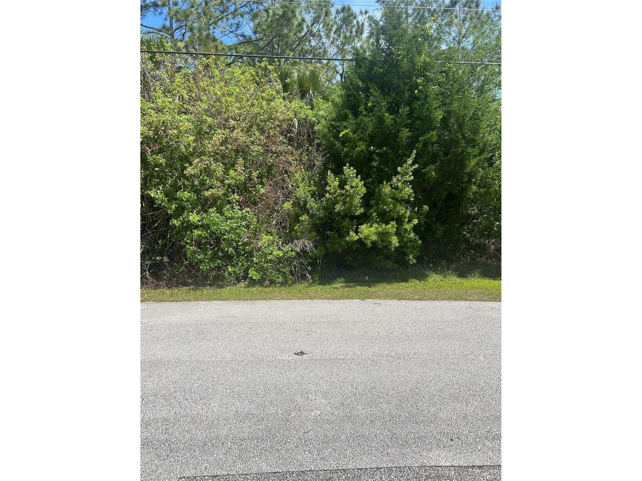 27 Birchwood Drive Palm Coast FL 32137 FC317874 image1