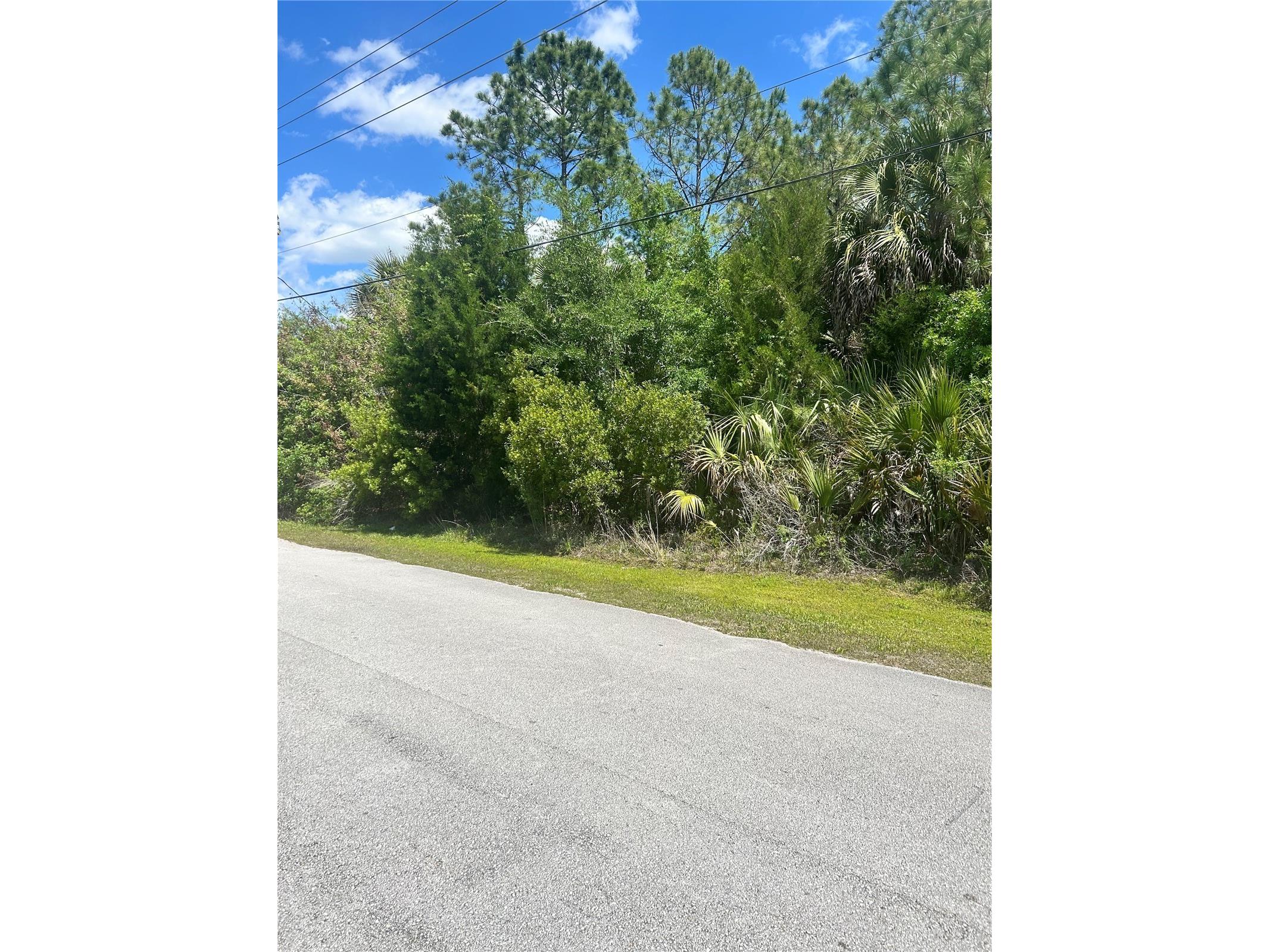 27 Birchwood Drive Palm Coast FL 32137 FC317874 image3