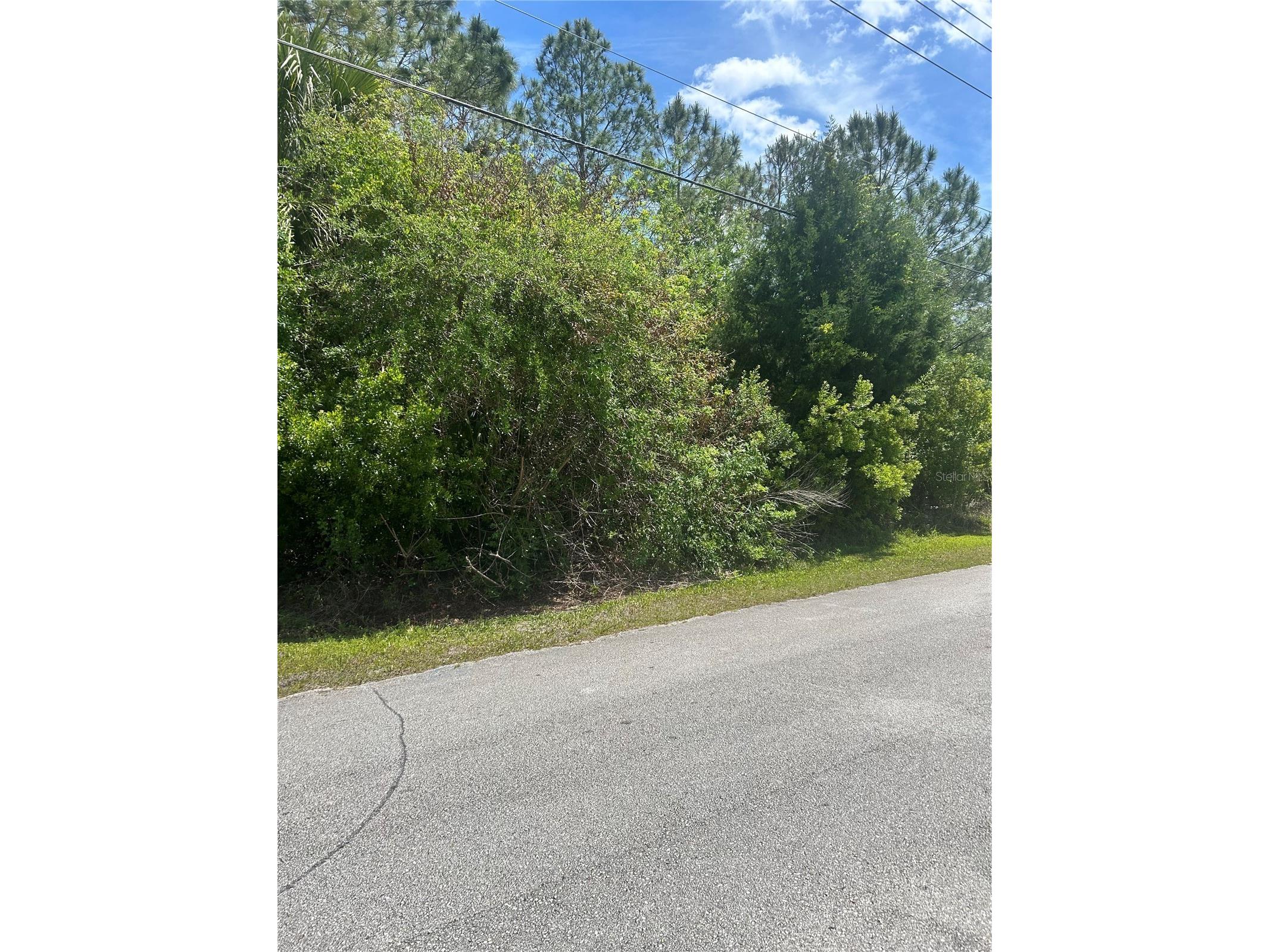 27 Birchwood Drive Palm Coast FL 32137 FC317874 image4