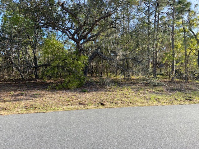 27 Cactus Street Homosassa FL 34446 U8235182 image1