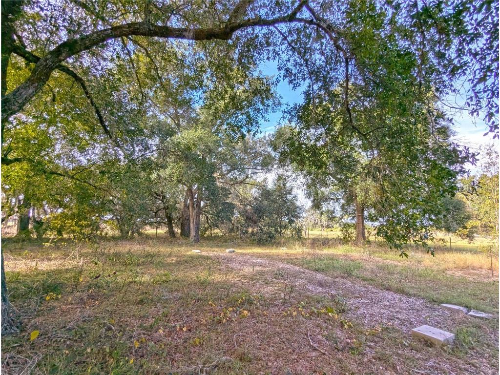 27 Crescent Ridge Road Davenport FL 33837 O6364284 image21