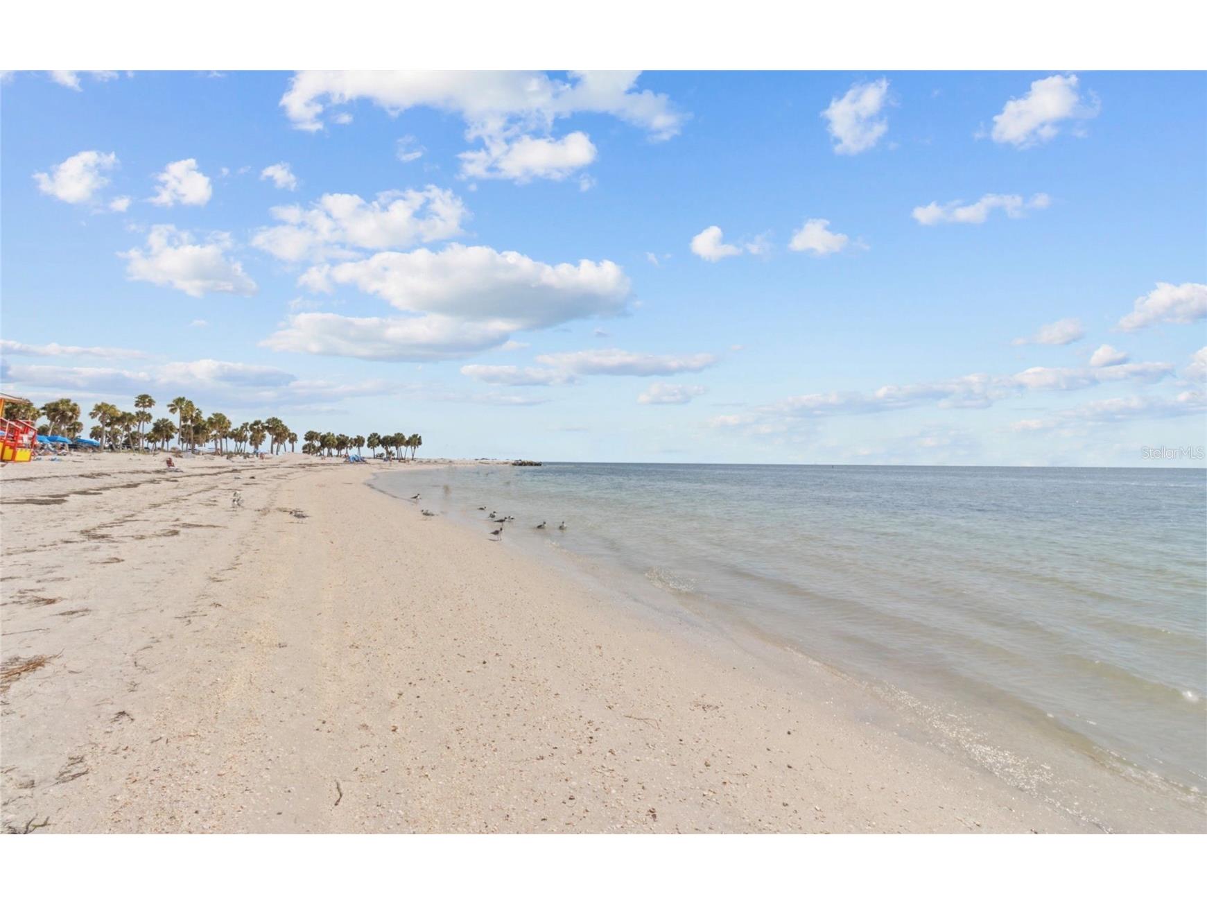 27 Dolphin Drive Treasure Island FL 33706 TB8485649 image26