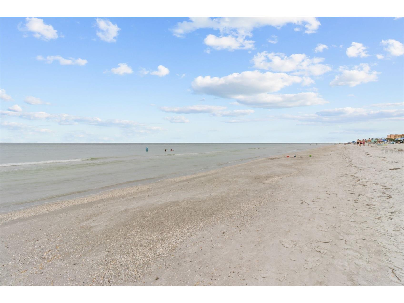 27 Dolphin Drive Treasure Island FL 33706 TB8485649 image27