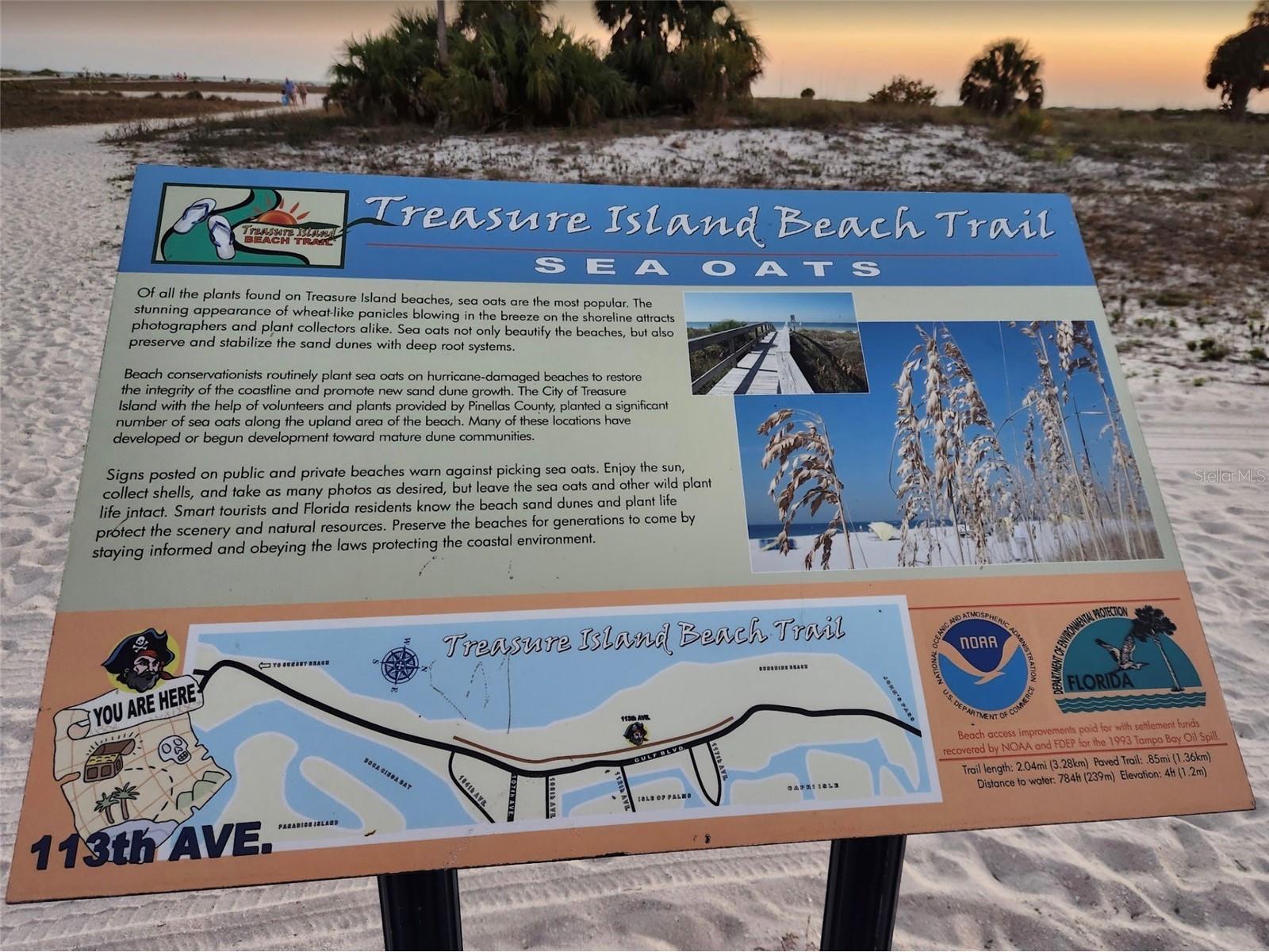27 Dolphin Drive Treasure Island FL 33706 TB8485649 image28