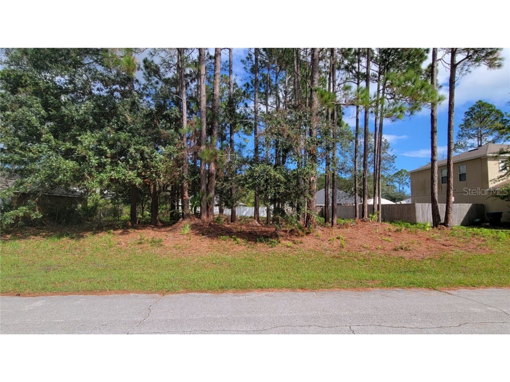 27 Llama Trail Palm Coast FL 32164 O6119168 image1