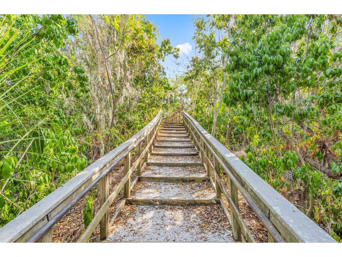 27 Michiana Drive Terra Ceia FL 34250 A4692730 image32
