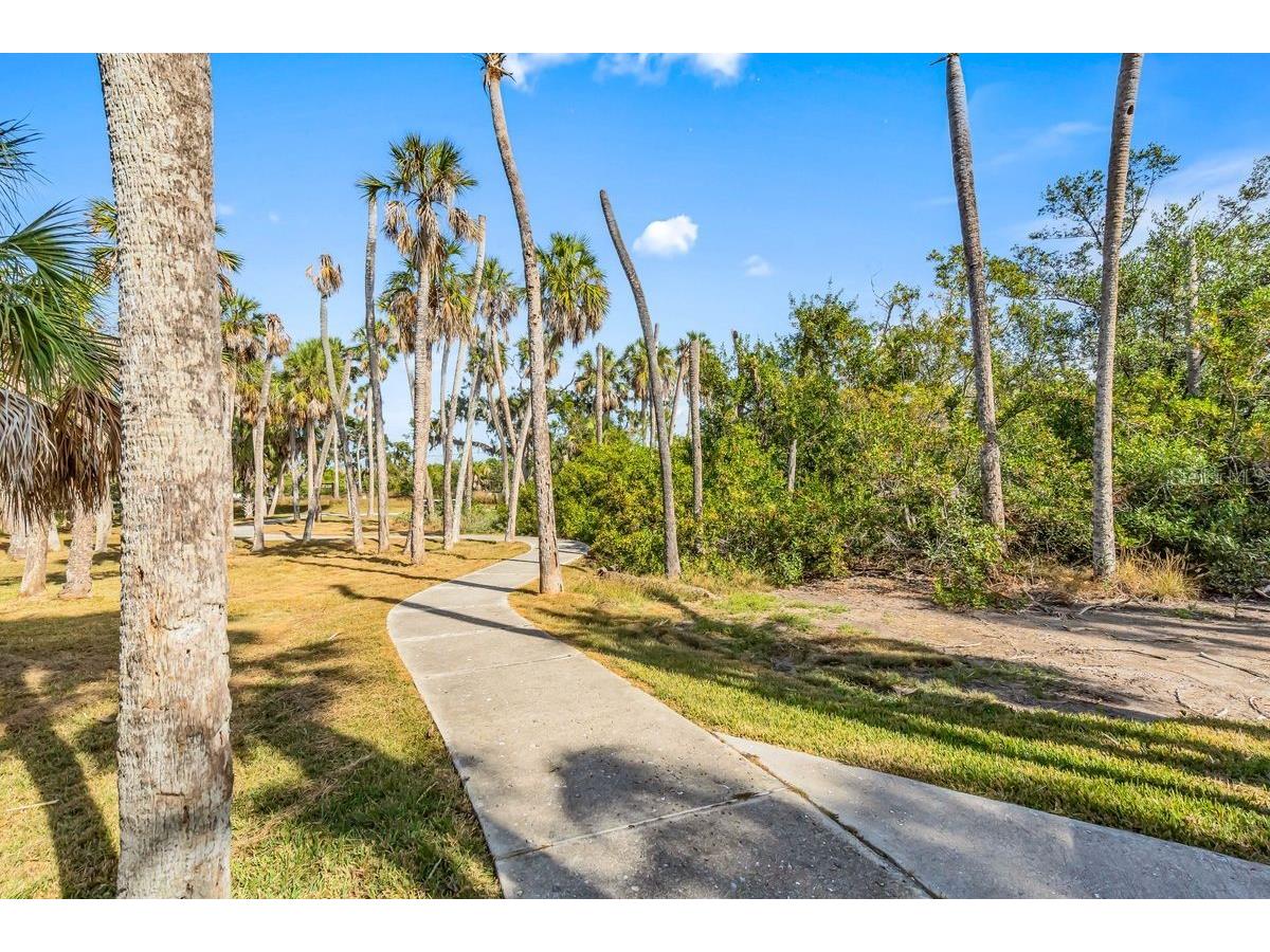 27 Michiana Drive Terra Ceia FL 34250 A4692730 image33