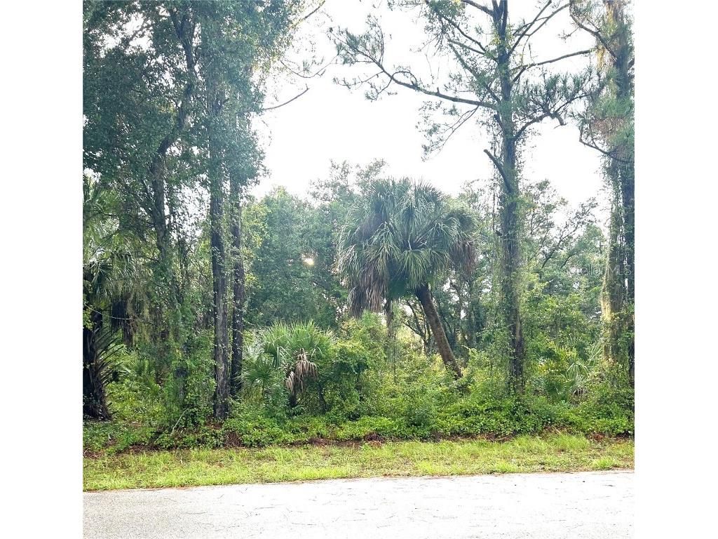 27 Musgrove Street Port Charlotte FL 33954 C7514188 image1