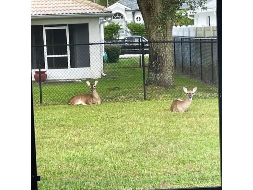 27 Prairie Lane Palm Coast FL 32164 FC312386 image24