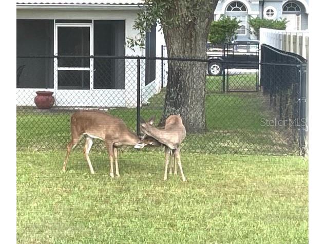 27 Prairie Lane Palm Coast FL 32164 FC312386 image25