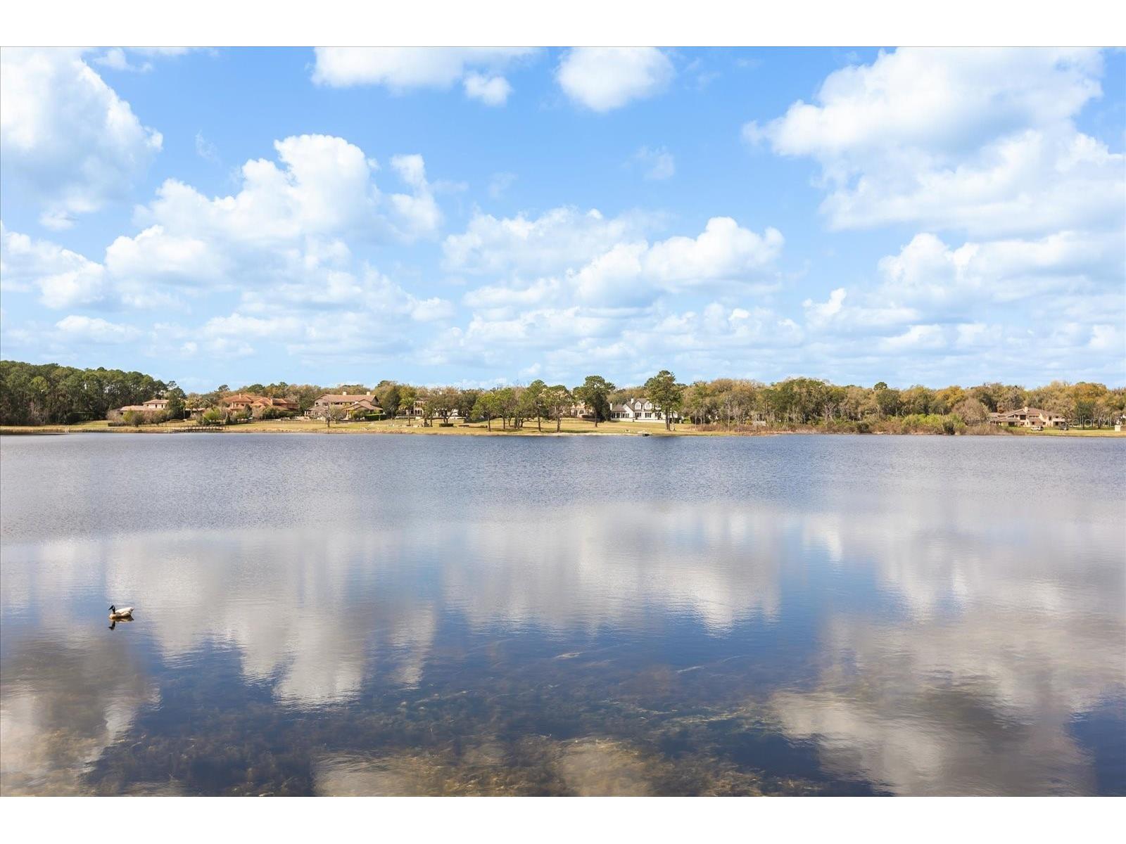 27 Stone Gate N Longwood FL 32779 - Rice Lake O6389073 image48