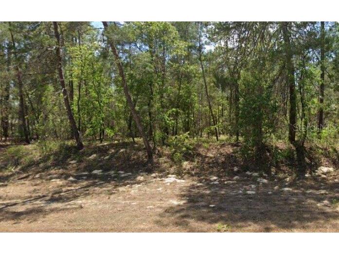 27 Village Center Drive Homosassa FL 34446 W7873589 image1