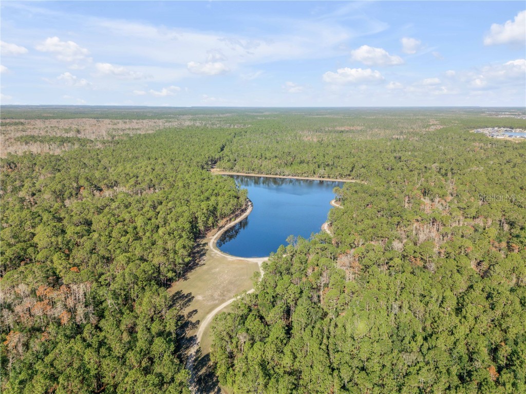 270 Eagle Harbor Way Daytona Beach FL 32124 NS1083231 image39