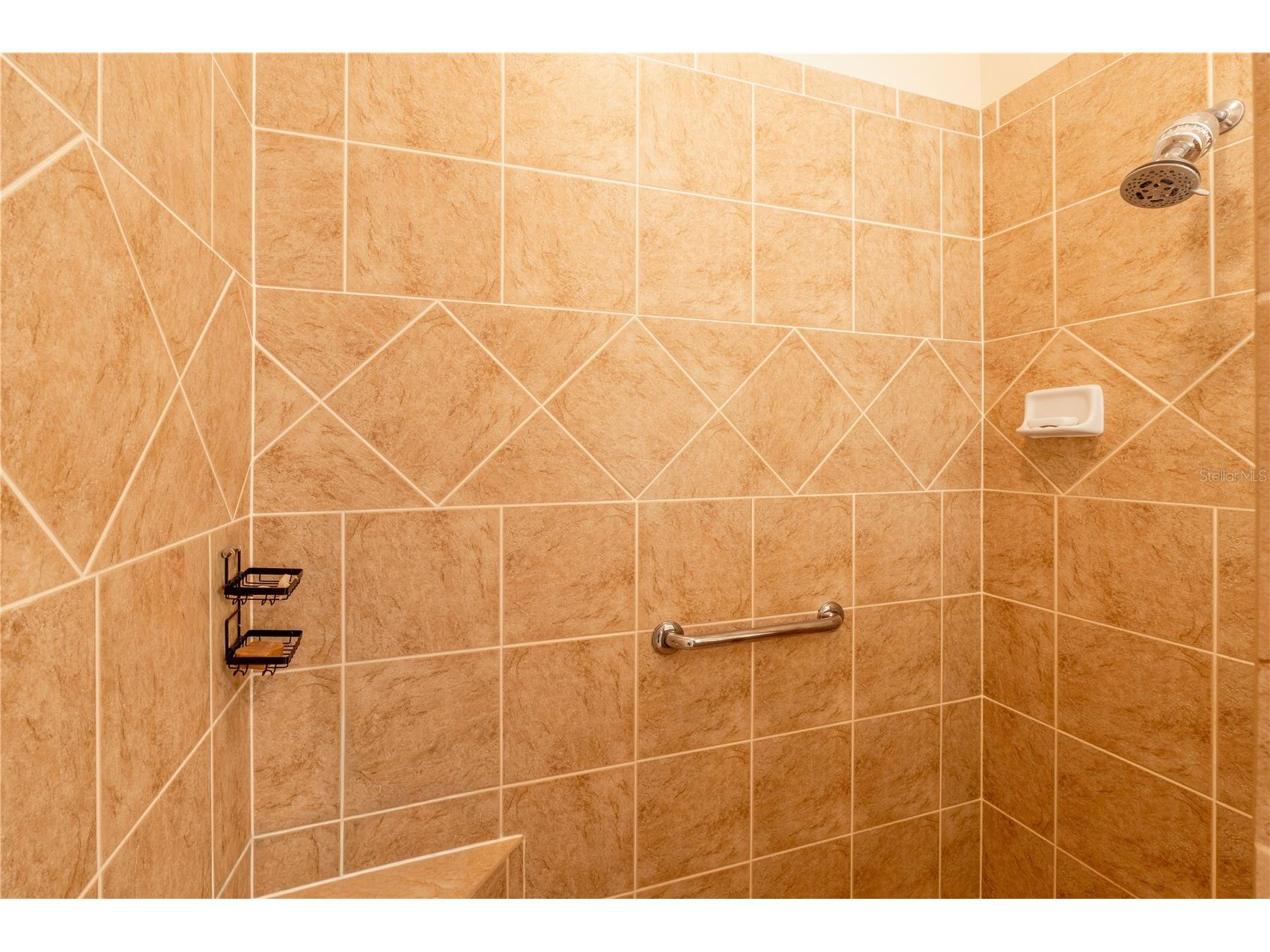270 Matisse Avenue The Villages FL 32162 G5110907 image27