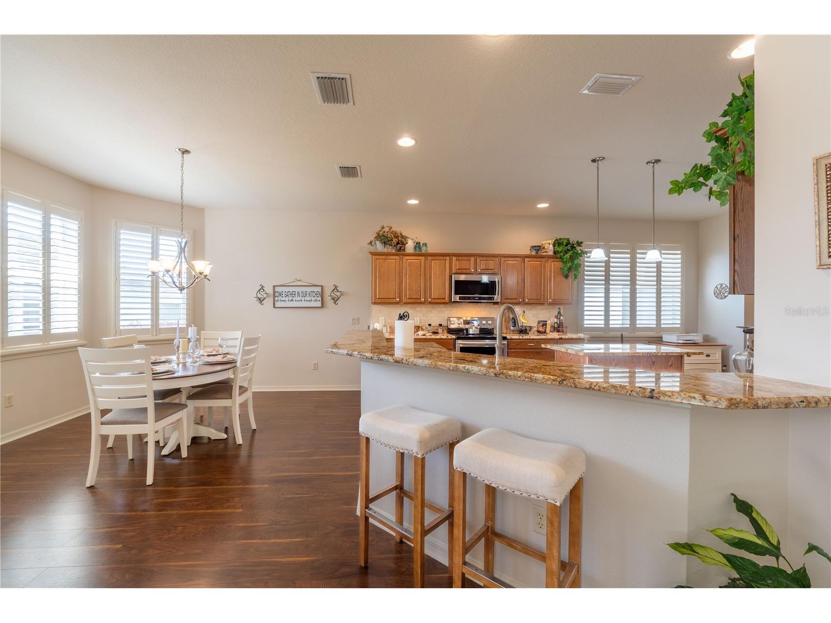 270 Matisse Avenue The Villages FL 32162 G5110907 image28