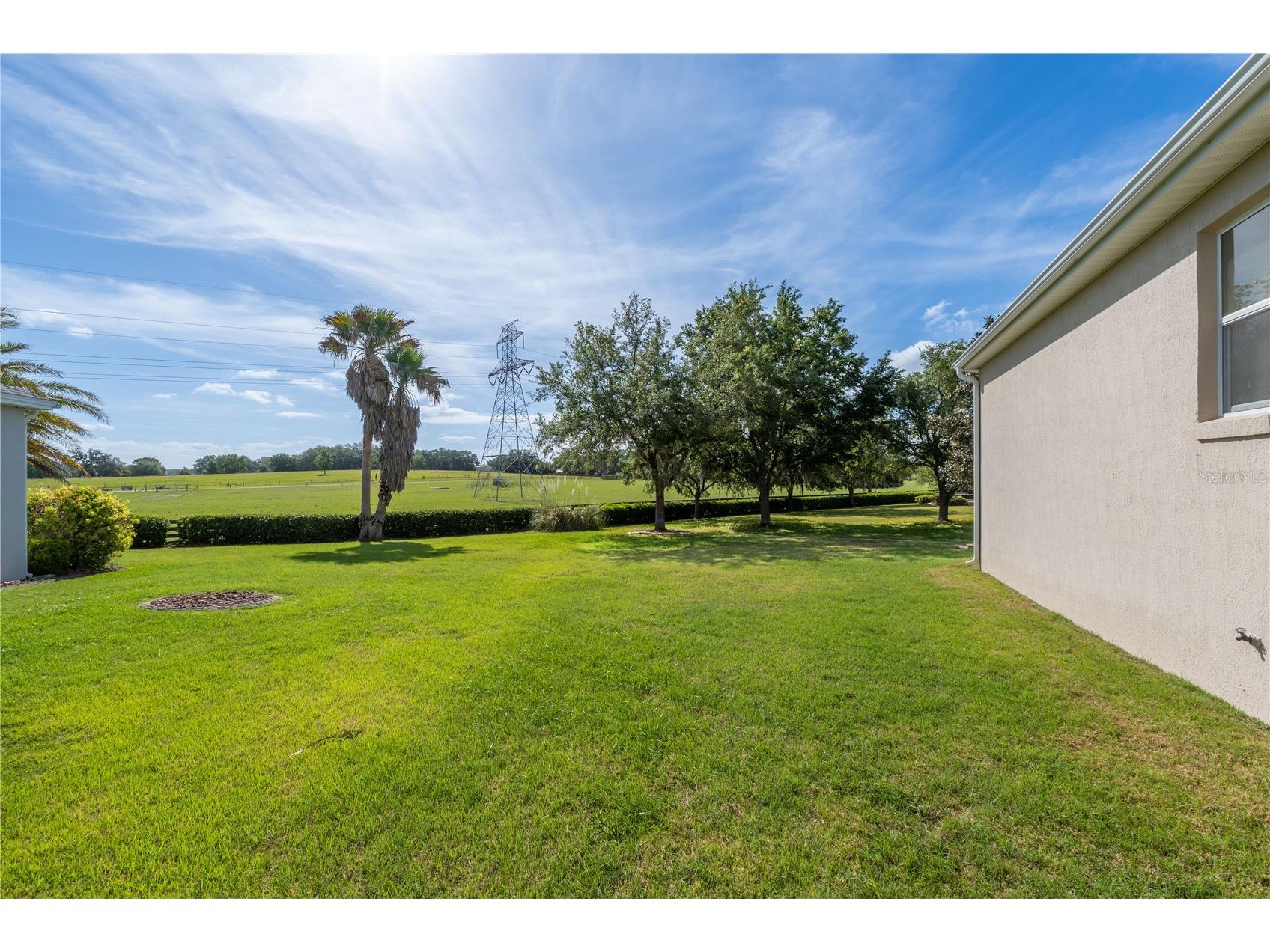 270 Matisse Avenue The Villages FL 32162 G5110907 image3